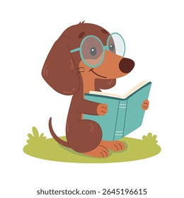 Cute little dachshund dog in glasses reading a book.  Funny smart wild animal character sitting with book cartoon vector illustration