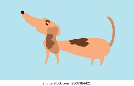 cute little dachshund friendly to people who want to pet him