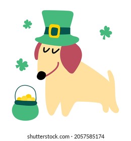 Cute little dachshund wearing costume hat for St. Patrick's day. Vector illustration on white background