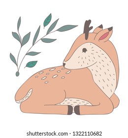 cute little deer