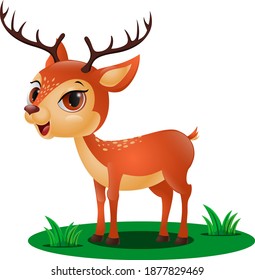 Cute little deer in the grass