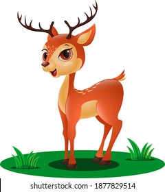 Cute little deer in the grass