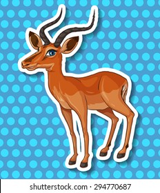 Cute little deer with sharp horns