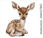 Cute little deer in watercolor style. Hand drawn woodland deer. Watercolor deer.
