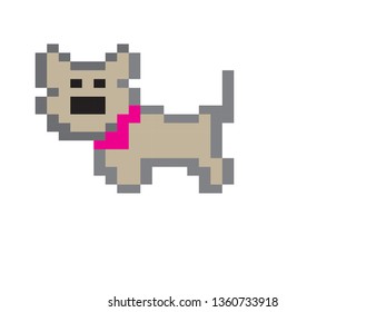 Cute little dog ..