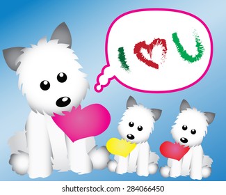 Cute little dog