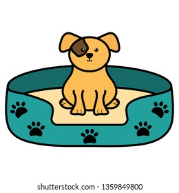 cute little dog with bed character