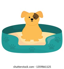 cute little dog with bed character