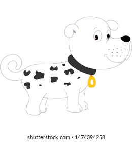 Cute Little Dog with Black Collar 