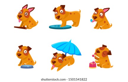 Cute Little Dog Cartoon Character Set,. Adorable Brown Puppy in Different Situations. Vector Illustration.