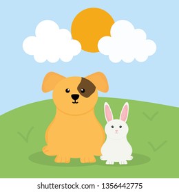 cute little dog and cat mascots in the field