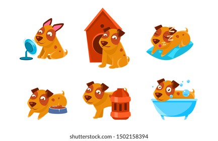 Cute Little Dog Character Set, Funny Brown Puppy in Different Situations Vector Illustration