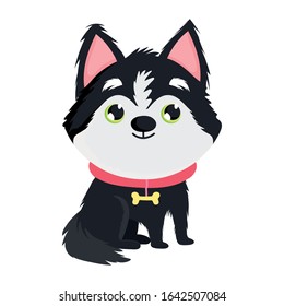cute little dog with collar domestic sitting cartoon pets on white background vector illustration