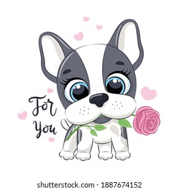 Cute little dog with flower. Happy Valentine's day clipart.