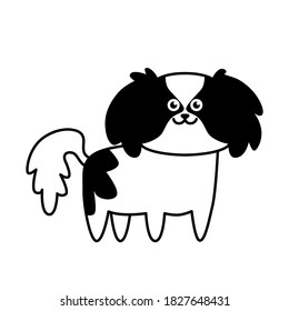 Cute little dog Japanese Chin isolated on white background. Flat design for card or t-shirt. Vector illustration