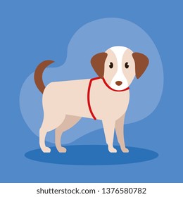 cute little dog mascot