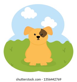 cute little dog mascot in the field