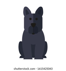 cute little dog mascot pure breed vector illustration design