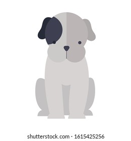 cute little dog mascot pure breed vector illustration design