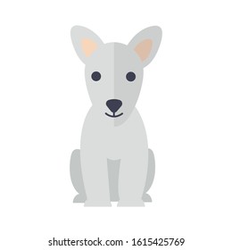 cute little dog mascot pure breed vector illustration design
