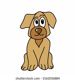 Cute little dog on white background
