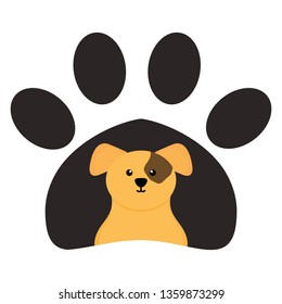 cute little dog in pawprint