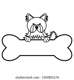 cute little dog pet with bone