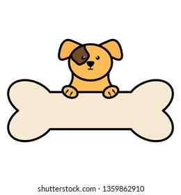 cute little dog pet with bone