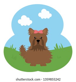 cute little dog pet in the field