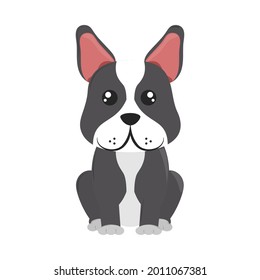 cute little dog pet isolated icon
