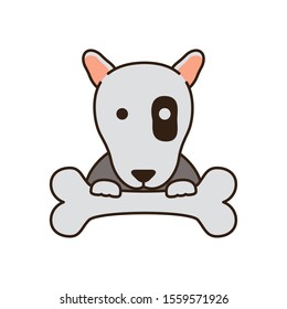 cute little dog pit bull with bone fill style icon vector illustration design