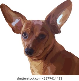 Cute little dog. Portrait of a dog with big ears.