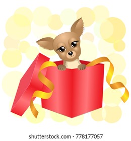 Cute little dog puppy, looking out from a red gift box, with big eyes and ears, chihuahua breed, on yellow confetti background, vector illustration, Chinese symbol of 2018 new year.