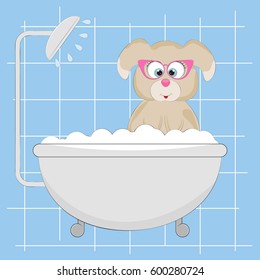 Cute little dog  in the shower. 