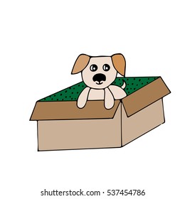 Cute little dog sits in the opened box. Vector illustration for greeting card, poster, or print on clothes.