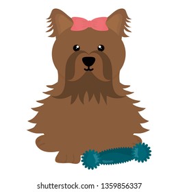 cute little dog with toy character