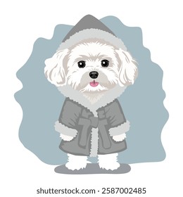 A cute little dog of white color, dressed in a cozy gray robe.