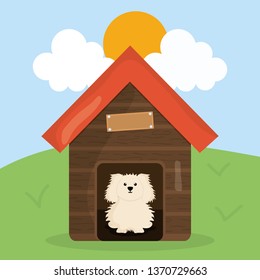 cute little dog in wooden house pet character