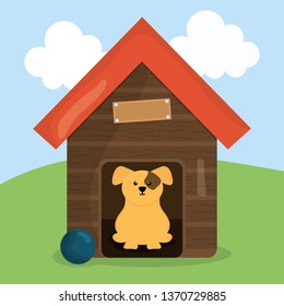 cute little dog in wooden house pet character