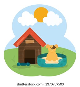 cute little dog in wooden house pet character