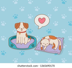 cute little doggy and kitty mascots