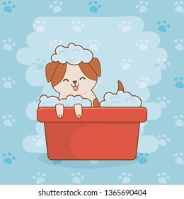 cute little doggy mascot character
