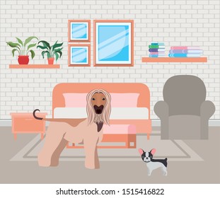 cute little dogs in the bedroom