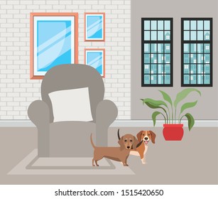 cute little dogs in the livingroom