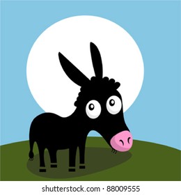 Cute little donkey