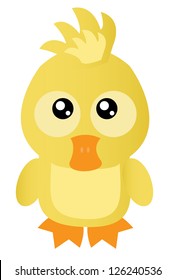 Cute little duck