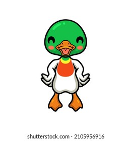 Cute little duck cartoon posing