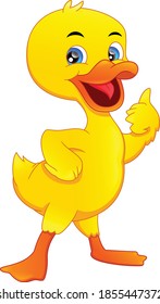 süße kleine Ente-Daumen nach oben