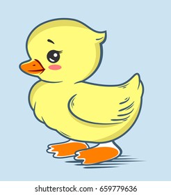 A cute little duckling 