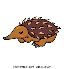 Cute little echidna cartoon sleeping
